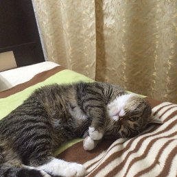 ���� John, �����-��������� - ��������� 24 ������ 2016