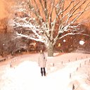 ��� ���� - ����. �� ������� ���� ����������