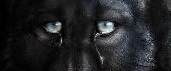 Жила на белом свете волчья стая.В краю степном, холодном и пустом. Пришли чужие, всех перестреляли И ...