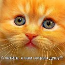 ���� ���������, �������, 62 ���� - ��������� 26 ������� 2015 � ������ ������ ��������
