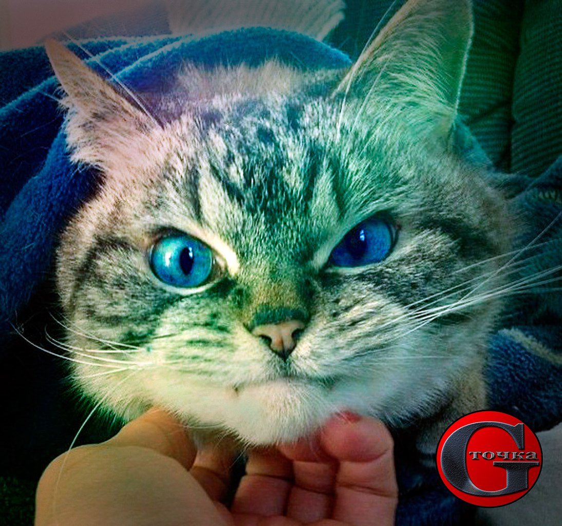 G- - 18  2016  12:43