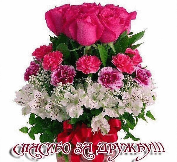 ������� ���������� ��������� - 16 ������� 2015 � 00:59