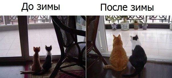    ! - 1  2015  09:55