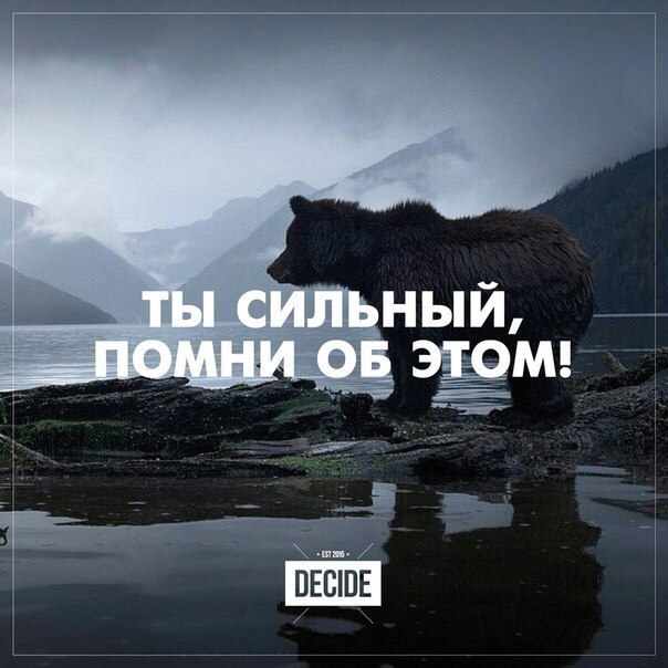  -   - 10  2015  21:35