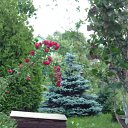 ���� ~Andre, ����� - ��������� 9 ������� 2015 � ������ ���� ����������