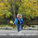 ���� �������, �������� - ��������� 6 ������ 2015 � ������ ���� ����������