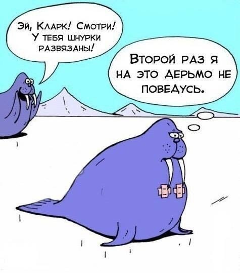 I see, I hear... (  ,   ) - 20  2016  20:48