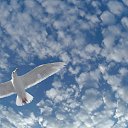 ���� ���������, �������, 66 ��� - ��������� 24 ������ 2016 � ������ ������ ��������