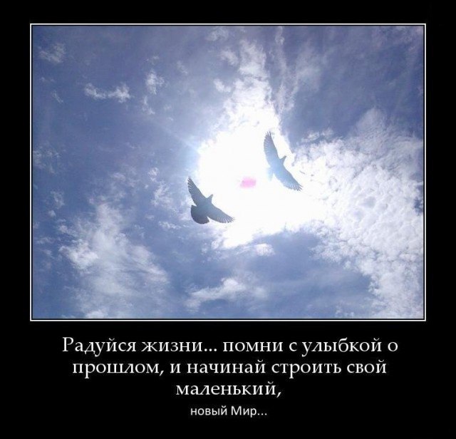    - 24  2016  20:15
