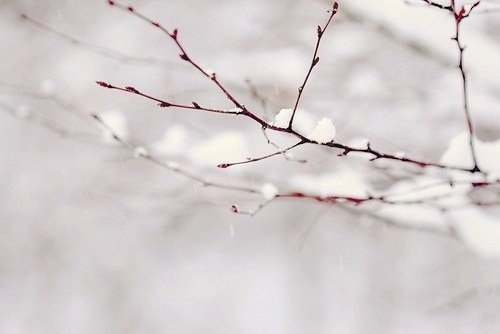 Зима - очень душевное время года, потому что чем сильнее морозы, тем теплее к друг другу становятся ... - 5