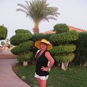 ���� �������, �����������, 56 ��� - ��������� 26 ������� 2015 � ������ ���� ����������