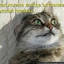 ���� ������, ������ - ��������� 23 ������� 2015 � ������ ������ ��������