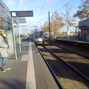 ��������� �� ������� ��������� � ���� 2015 �������