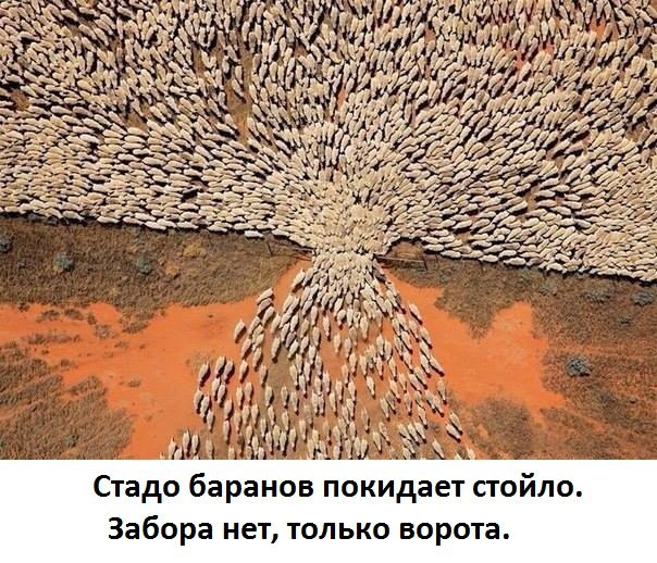 LIFE -  - 26  2016  01:00