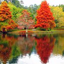  , , 52  -  25  2015   !!!