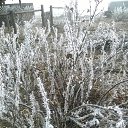 ���� ����, ������, 61 ��� - ��������� 8 ������ 2015 � ������ ������� ������� �����