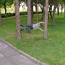 ���� �����, �������, 48 ��� - ��������� 8 ������� 2016