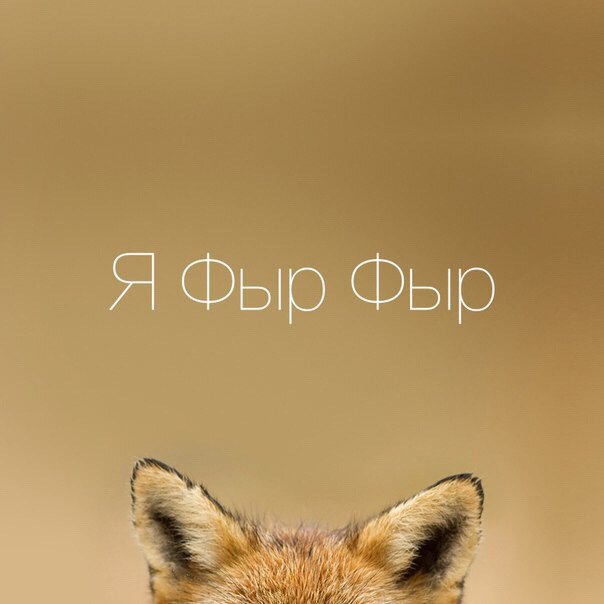   - 2  2016  11:04