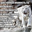���� ***����***, ��������� - ��������� 15 ������ 2015 � ������ ������ �������ɻ