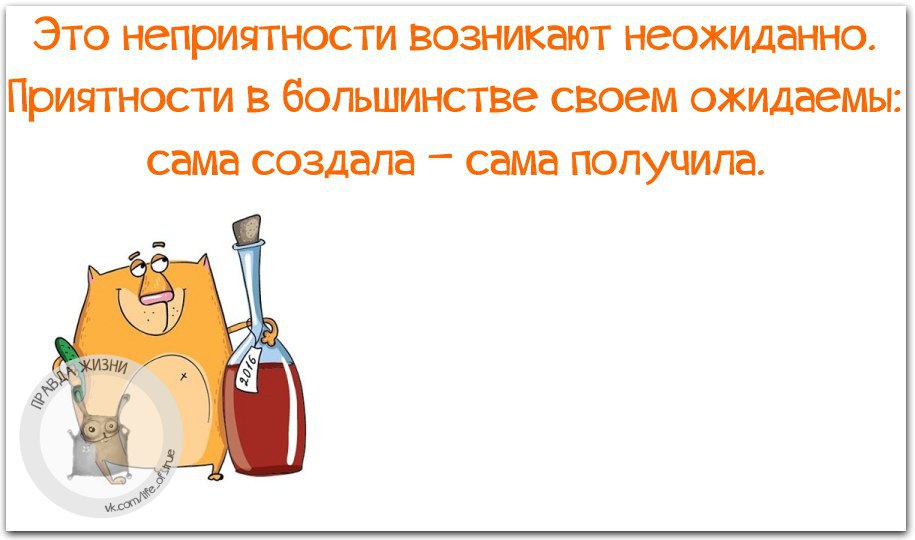   - 3  2016  11:40