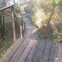 ���� ��������, ���������, 51 ��� - ��������� 21 ������� 2015 � ������ ������ � �.�����