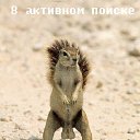 ���� ���������, ����, 52 ���� - ��������� 26 ������ 2016 � ������ ������ ��������