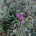 ������� ����� �� ������� ���� ����������