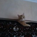 ���� ������, ������, 59 ��� - ��������� 27 ������ 2015 � ������ ���� ����������