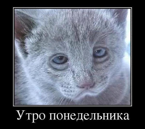  - 1  2016  16:53 - 2