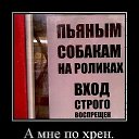 ���� ������, �����, 50 ��� - ��������� 29 ������� 2015 � ������ ������� �������
