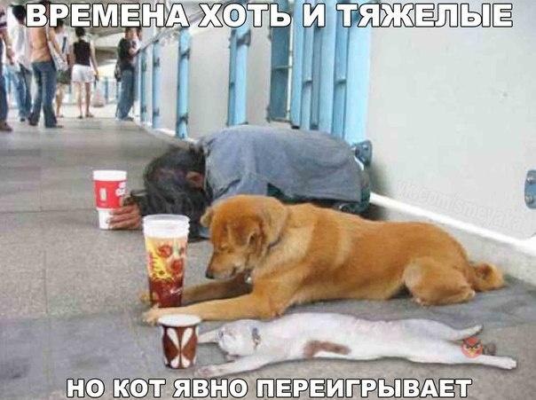 -  - 10  2016  18:26