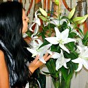 ���� ������, ����� - ��������� 26 �������� 2015 � ������ ���� ����������
