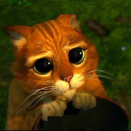 Vlad, �����������-��-�����, 42 ����