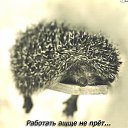 ���� �������, ���������, 53 ���� - ��������� 11 ������ 2015