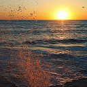 ���� ������, ������ - ��������� 21 ������� 2015 � ������ ������ ��������