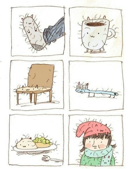 Если у вас есть кот, все в доме превращается в ... - Без кота и жизнь ...