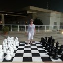  , , 63  -  6  2016    
