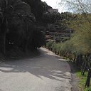 ���� Roman, ������, 39 ��� - ��������� 17 ������� 2015 � ������ �Italia�