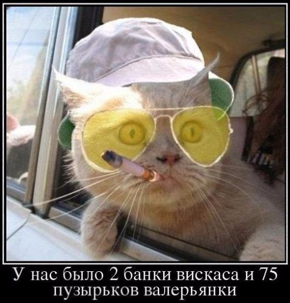   | , ,  - 2  2015  18:03