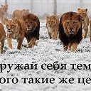 ���� ���, ������ - ��������� 29 ������� 2016 � ������ ������ ��������
