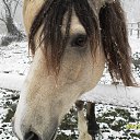 ���� ��������, ���������, 49 ��� - ��������� 27 ������ 2016 � ������ ���� ����������