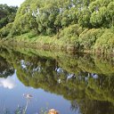 ���� ��������, �����-��������� - ��������� 3 ������ 2016 � ������ ���� ����������