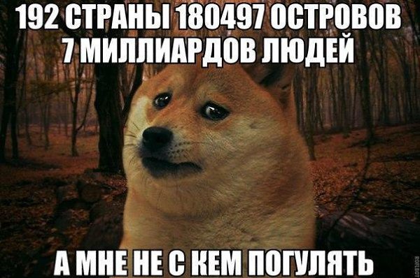 ☆   ☆ - 10  2016  00:43