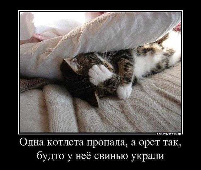 .https://fotostrana.ru/away?to=/sl/kxC2 - 1  2016  13:09
