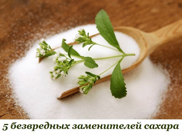 5 безвредных заменителей сахара.1. СтевияЭто растение-многолетник из семейства астровых называют ...