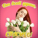 ���� ��������, �����-���������, 64 ���� - ��������� 25 ������� 2015 � ������ �������� ��������