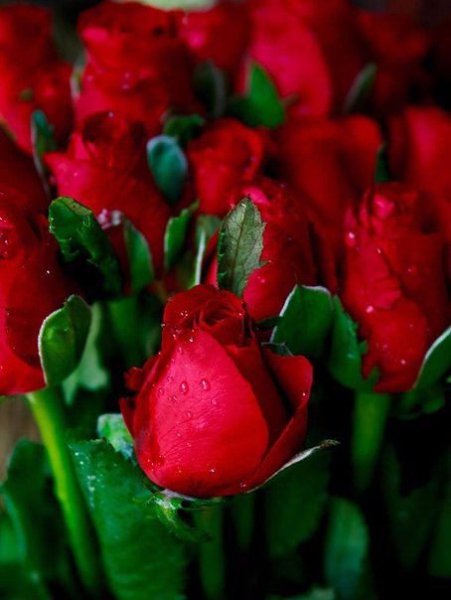 Если вы любите, а вас нет — отпустите. Если вас любят, а вы нет — оцените и присмотритесь. Если ... - 3