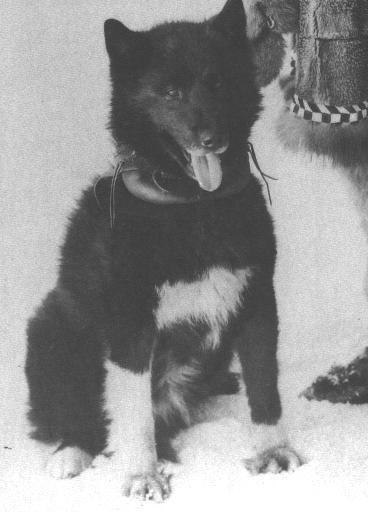 �������� ������� ������������ ��� �����, �������� ����� �� ��������.��������� ������ ������ ... - 3