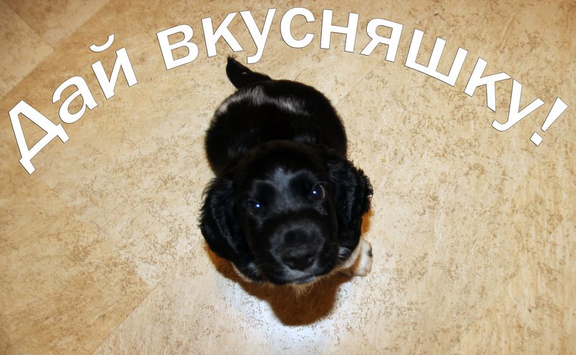   - 9  2015  07:03