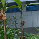 ���� ����, �����, 49 ��� - ��������� 4 ������� 2015 � ������ ������ ��������